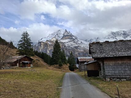 Фото с сайта Maurer Silvia во время экскурсии