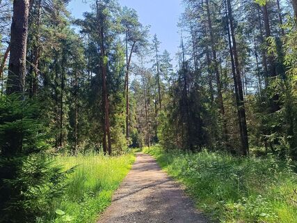 Foto von Žaneta Schelling entlang der Tour