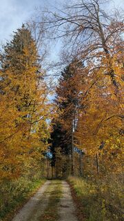 Foto von Andrea Diessl entlang der Tour