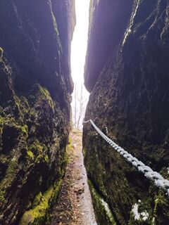 Fotografija s spletne strani Edith K. na poti