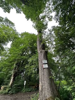 Foto von Sara B entlang der Tour