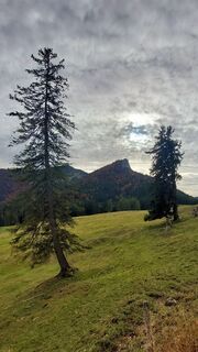Fotografia z ZYX na trase