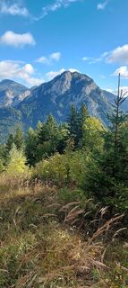 Foto von Günzi entlang der Tour