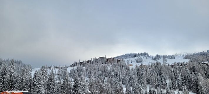 Foto von Nicky entlang der Tour