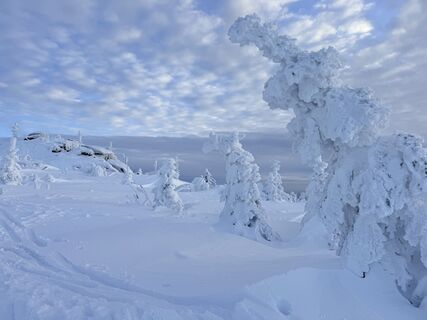 Foto von Natur_erleben_dg entlang der Tour