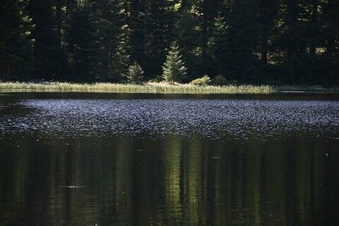 Buhlbachsee