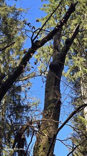 Foto von Edit Szoboszlay entlang der Tour