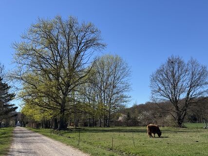 Foto de Uwe Kraußer a lo largo del recorrido