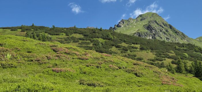 Photo de Doris Falk le long du parcours