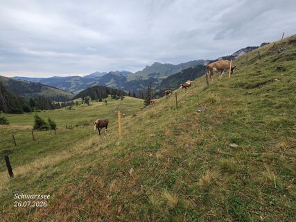 Fotografija s spletne strani Massimo Romano 2 na poti