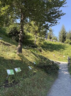 Foto von Reinhold Rehbichler entlang der Tour