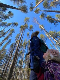 Wanderer auf dem Pulkkilanharju