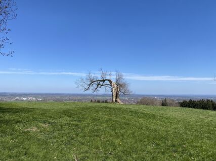 Fotografie z Sven Krieblin na trase