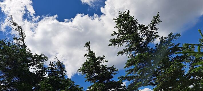 Foto von Alfin entlang der Tour