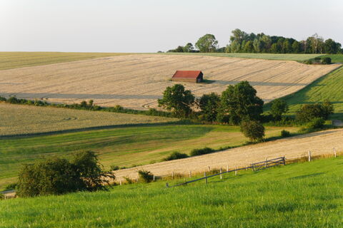 Weiden und Felder bei Bosseborn