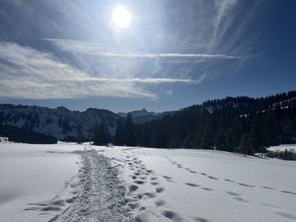 Fotografia z Andy Schneider na trase