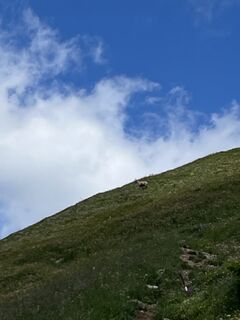 Foto von Petar Batarilo entlang der Tour
