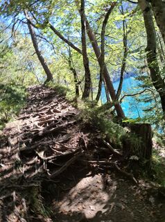 Photo de Johanna Amlacher le long du parcours