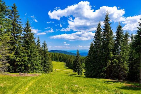 vom hoiswirt auf den reinischkogel_img_72507895