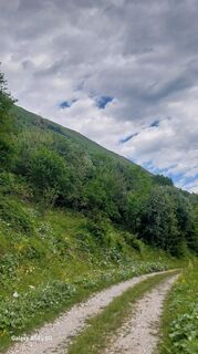 Photo de schabauer le long du parcours