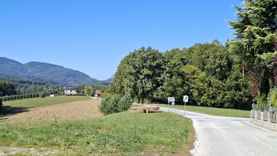 Fotografija s spletne strani args na poti