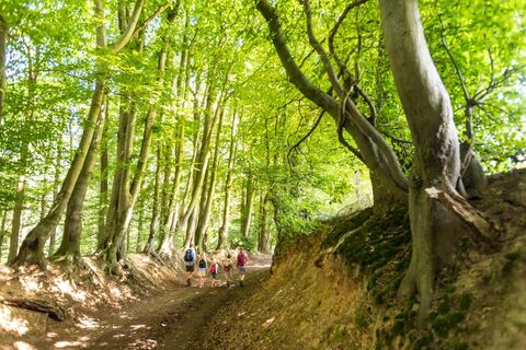 Wanderweg Wurmtal