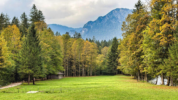 Foto von Berchtesgaden TV entlang der Tour
