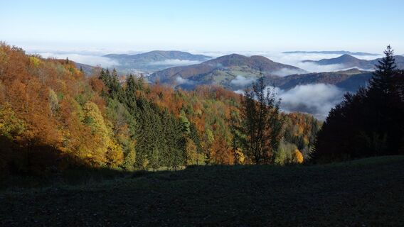 Aufstieg