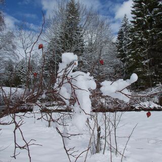 nach Gypsera - Winterwanderung-Gypsera-Eispaläste-Weg