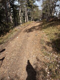 Fotografie de la Jennifer Pichler de-a lungul turului