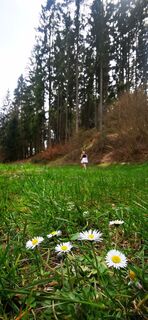 Fotografia z Klaus Lehner na trase