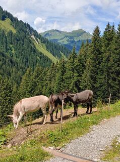 Photo de Roger Stahl le long du parcours