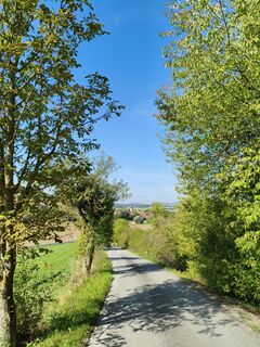 Photo de Fredi Oppel le long du parcours