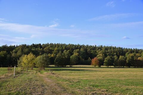 An der Göhrde