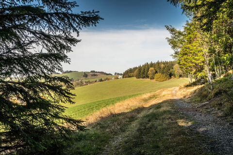Herbstbilder Breitnau (2)