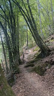Foto von Johann Schmidt 82 entlang der Tour