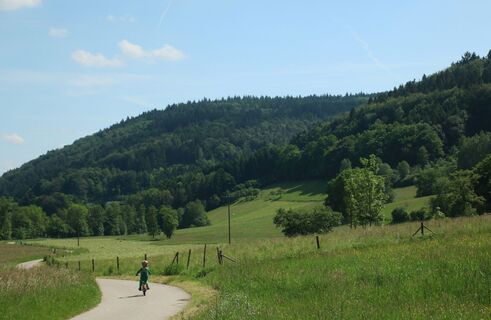 Radweg Steinachtal zwischen Heiligkreuzsteinach und Schönau