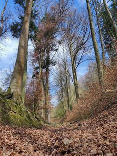 Foto de PeSol a lo largo del recorrido