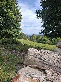 Fotografia z Wollomator na trase