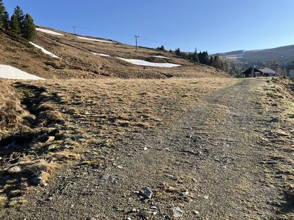 Fotografia z Klaus Grambichler na trase