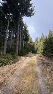Photo de Peter Zabransky le long du parcours