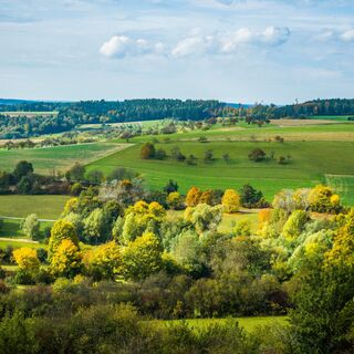 Blick bei Gültlingen vom Heckengäu in den Schwarzwald