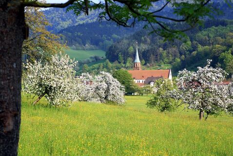 Blick vom Winzerpfad aus auf die St. Blasiuskirche