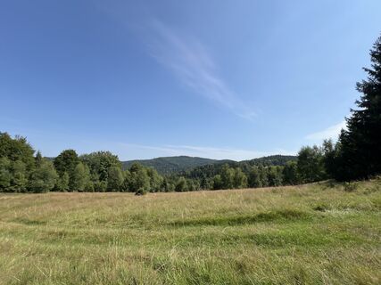 Photo de Wojciech Godlewski le long du parcours