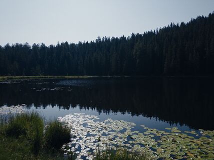 Foto von edefreak entlang der Tour