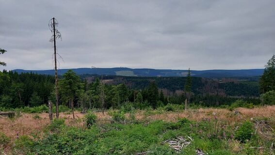 Fotografie z Wollomator na trase