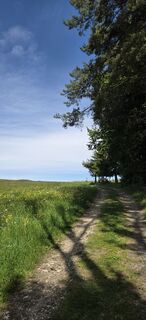 Foto von carina bagola entlang der Tour