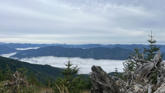 Foto von Sabine Offenberger entlang der Tour