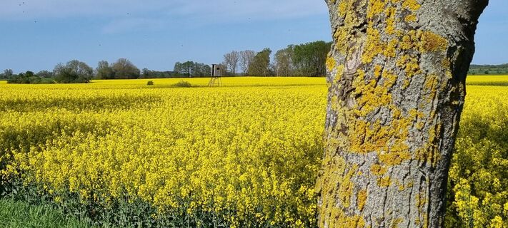 Foto von Christian Gobrecht entlang der Tour