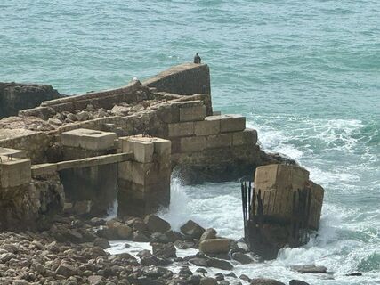 Foto de Heike Hadamus a lo largo del recorrido